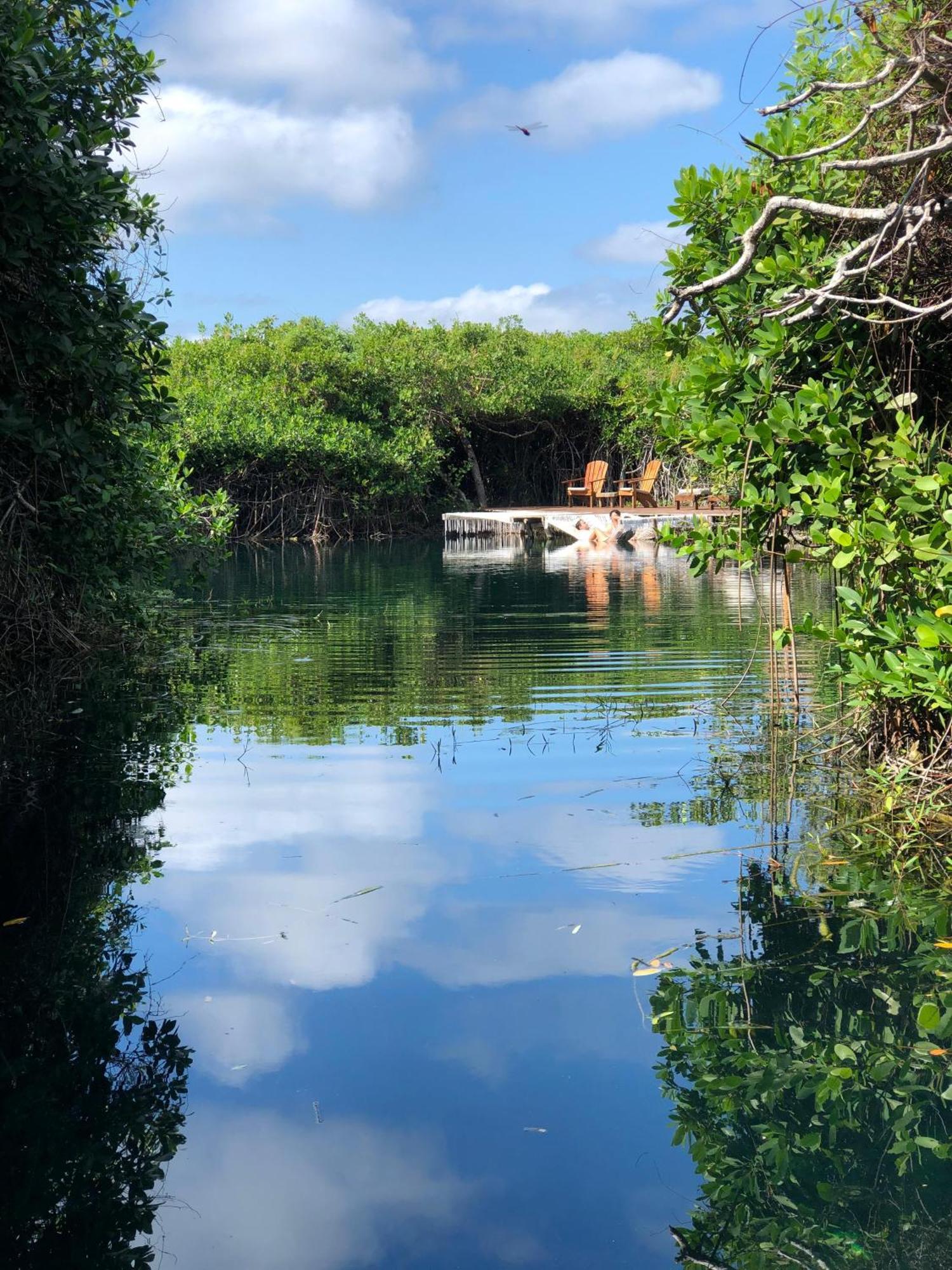 Cabanas Tulum - Aldea Mangle & Cenote Exterior photo