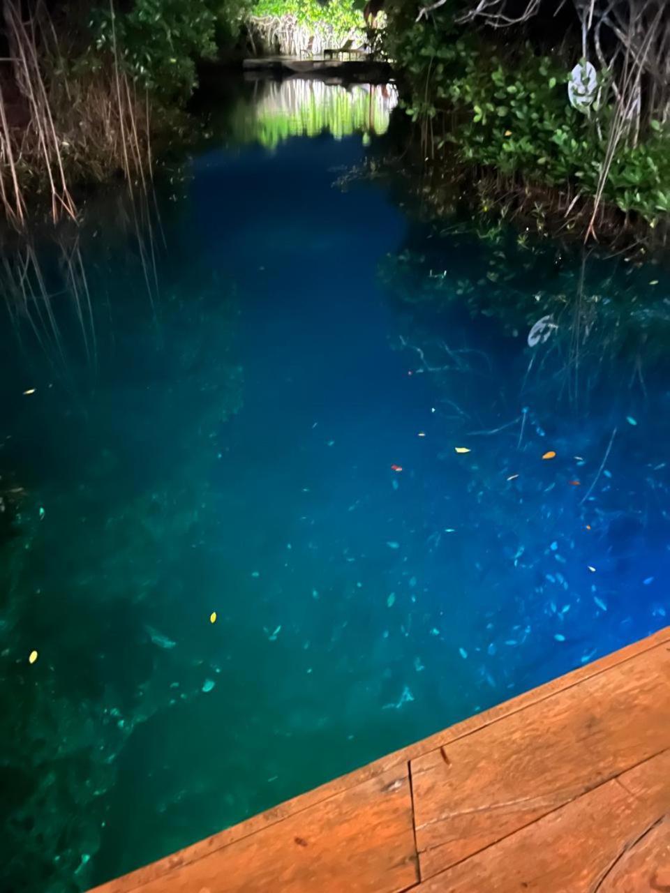 Cabanas Tulum - Aldea Mangle & Cenote Exterior photo
