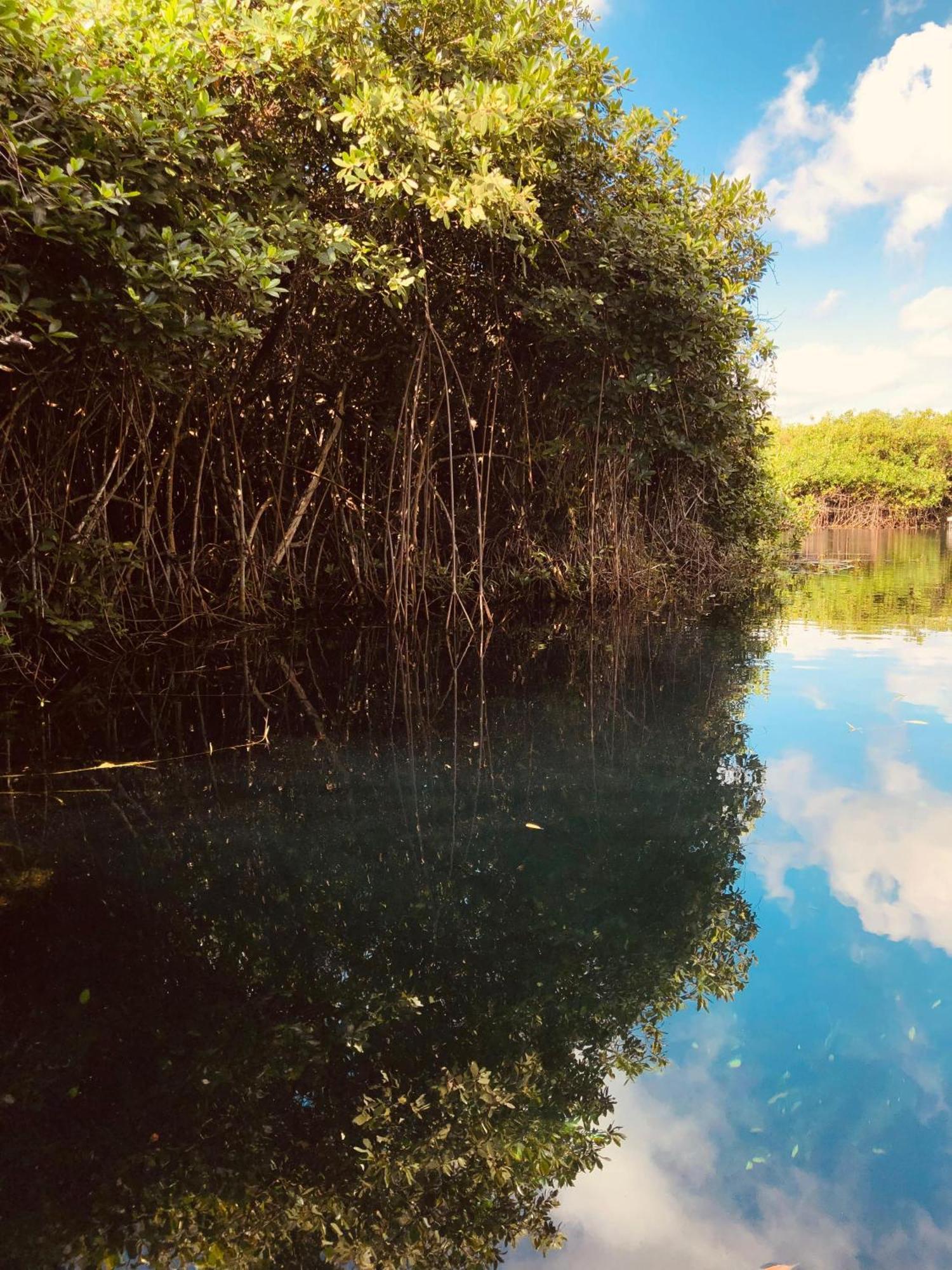 Cabanas Tulum - Aldea Mangle & Cenote Exterior photo