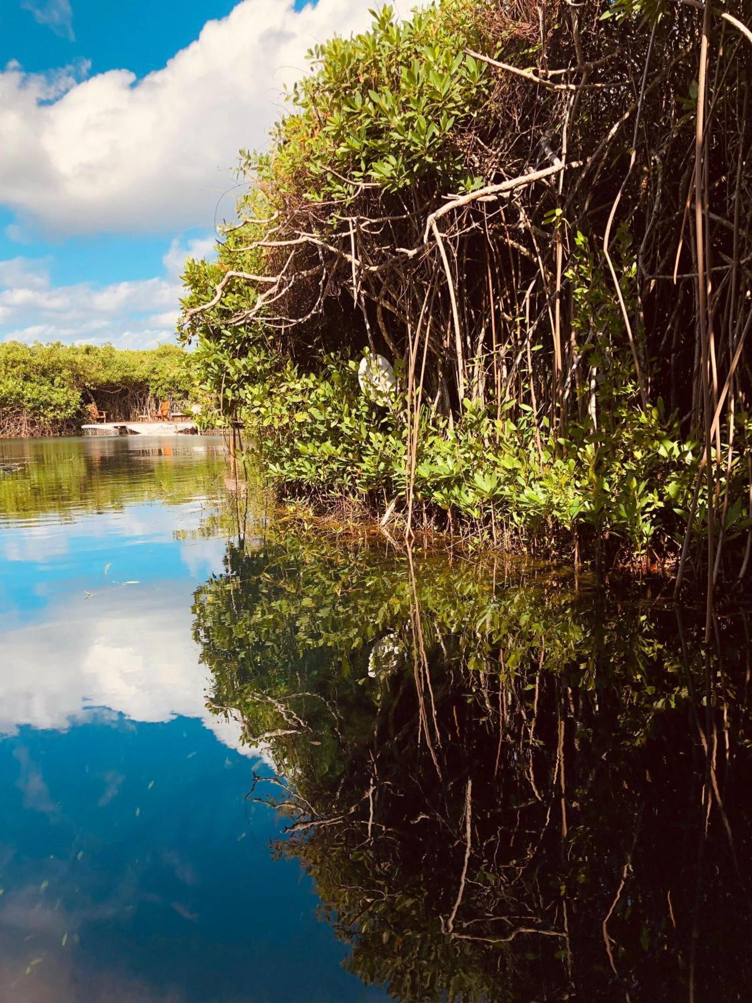 Cabanas Tulum - Aldea Mangle & Cenote Exterior photo