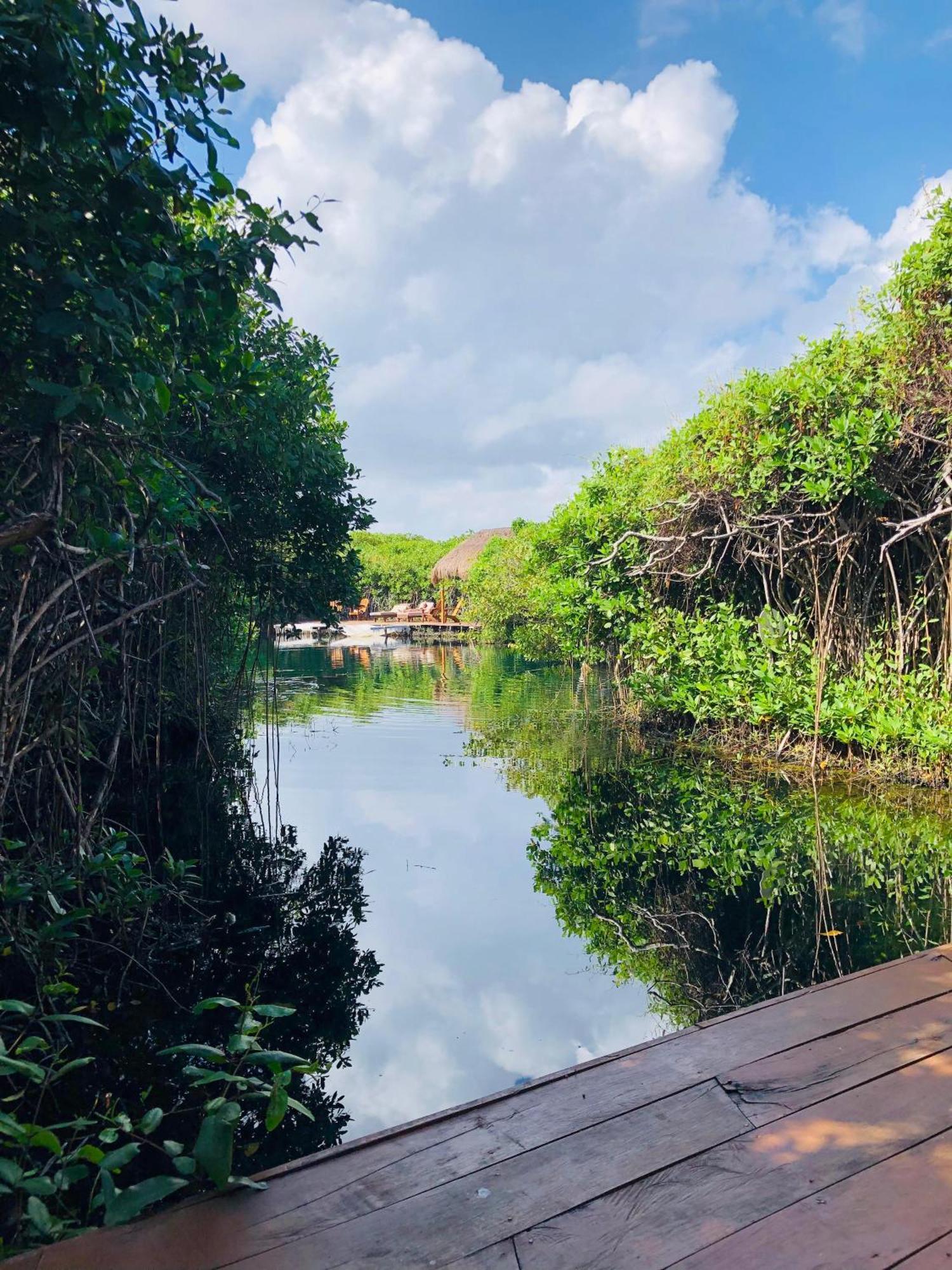 Cabanas Tulum - Aldea Mangle & Cenote Exterior photo